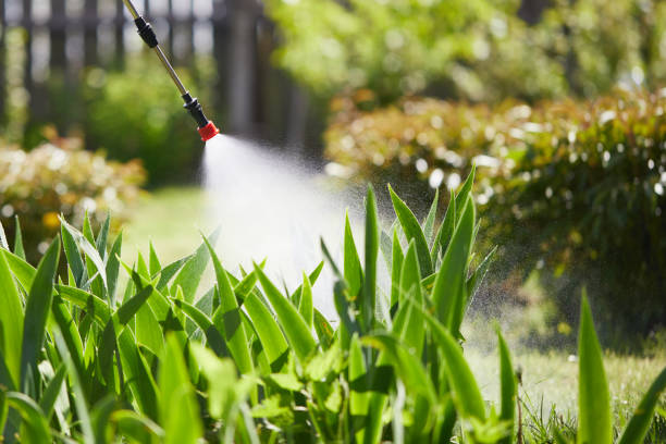 Tamper-Resistant Bait Stations for Rodents in Ripley