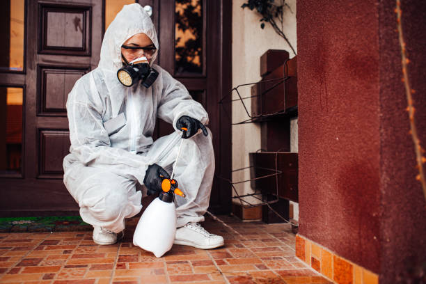 Attic and Crawl Space Rodent Treatment in Ripley